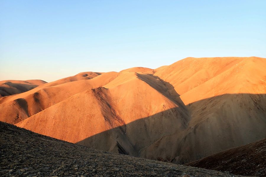 14 Barren v2 900x600